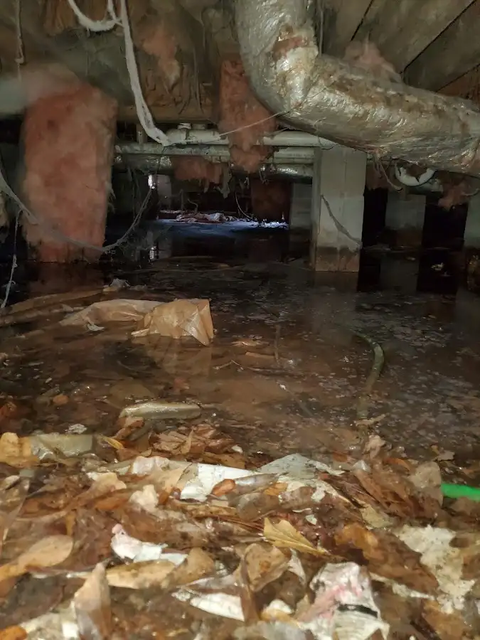Crawl space flood assessment for Leak Detection & Repair in North Valley